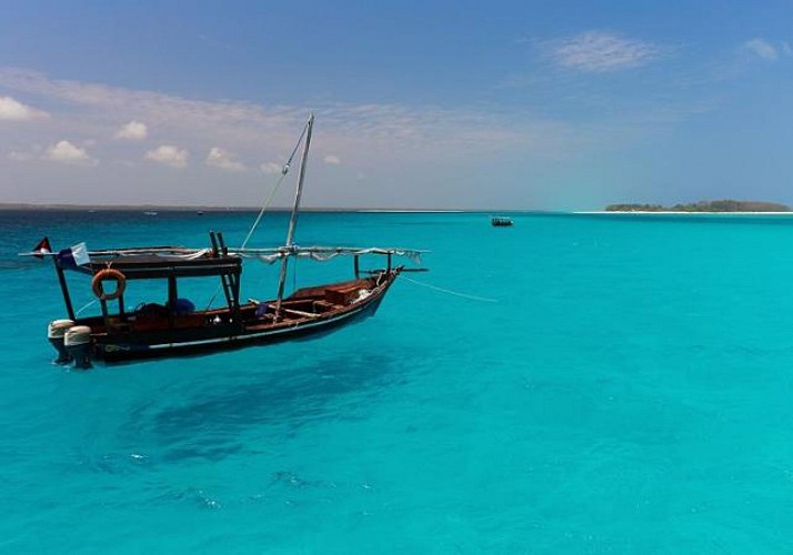 Croisière privée d’une journée en bateau traditionnel, observation des dauphins & snorkeling vers l’île de Mnemba (déjeuner inclus) - Au départ de Zanzibar