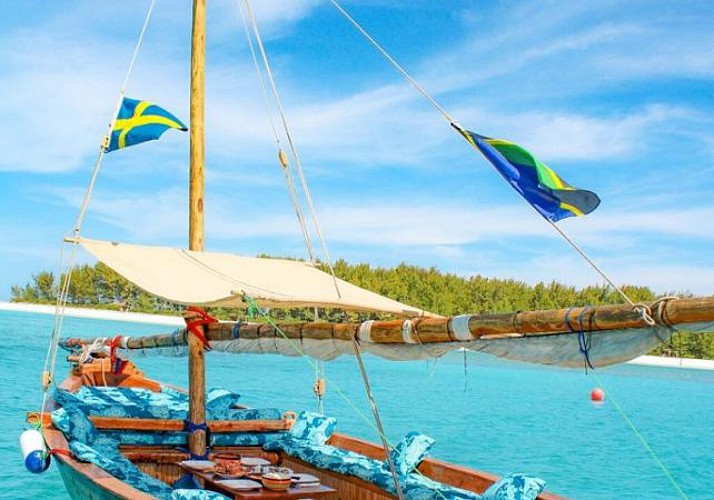 Croisière privée d’une journée en bateau traditionnel, observation des dauphins & snorkeling vers l’île de Mnemba (déjeuner inclus) - Au départ de Zanzibar