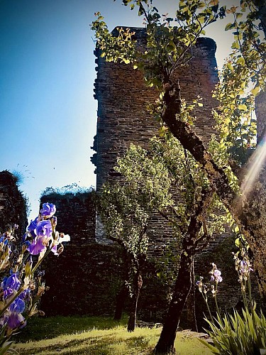 Intérieur du Château de Valon