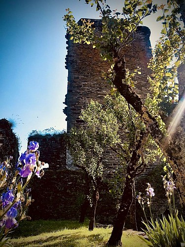 Intérieur du Château de Valon