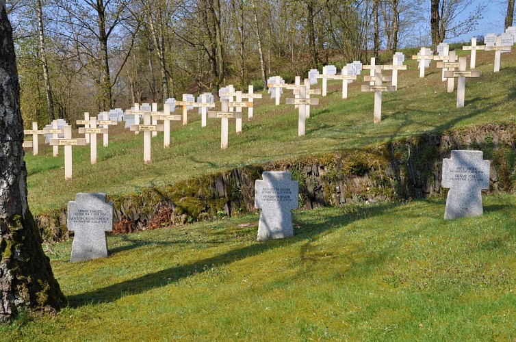 Neuf-N-cimm©MT Forêt Anlier-H(2)