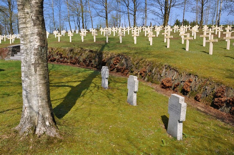 Neuf-N-cimm©MT Forêt Anlier-H(3)