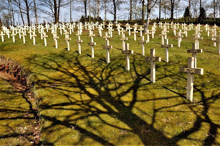 Neuf-N-cimm©MT Forêt Anlier-H(10)