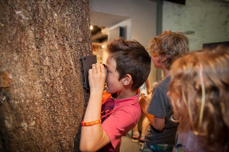 36522910_1566382323488398_6962779647725535232_o