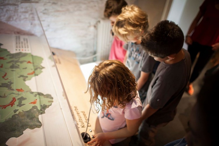 Mathieu_Pecheur_-®_25 juin 2014-_MG_0793_Maison_du_parc