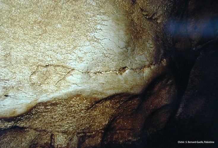 Polis d'ours dans la grotte de Prélétang