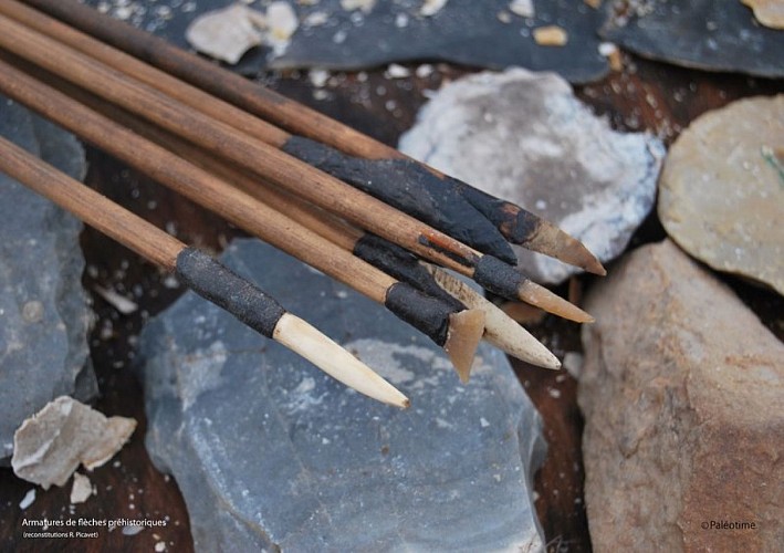 Exemples de pointes de flèches