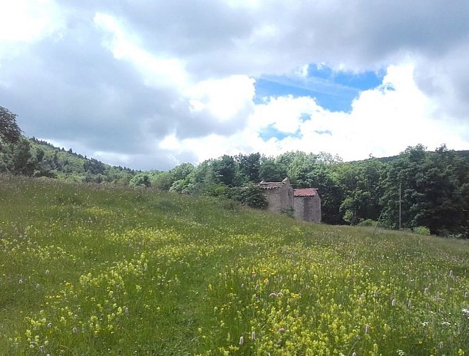 Les ruines de Gampaloux