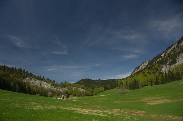 Ruine d'Herbouilly