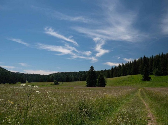 Plaine d'Herbouilly