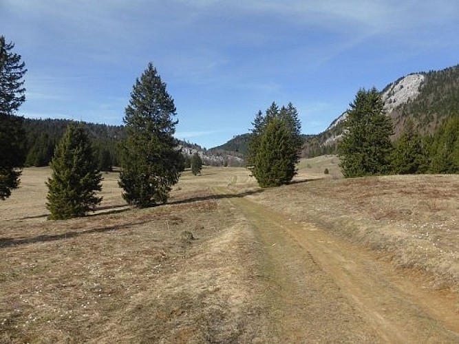 Plaine d'Herbouilly