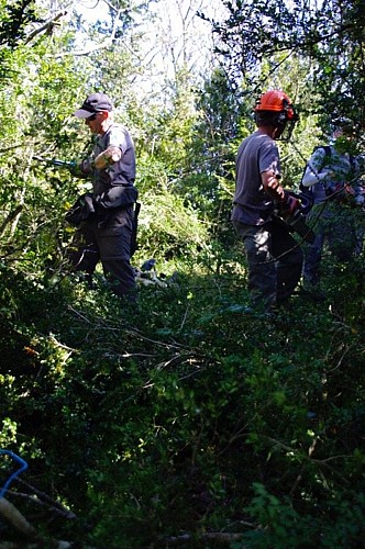 Le Chemin des Falaises