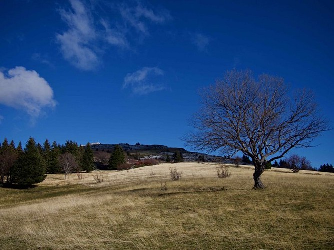 The plateau of Ramées