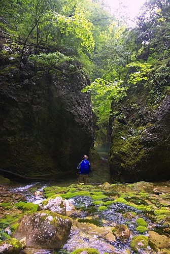 La Lyonne dans les gorges