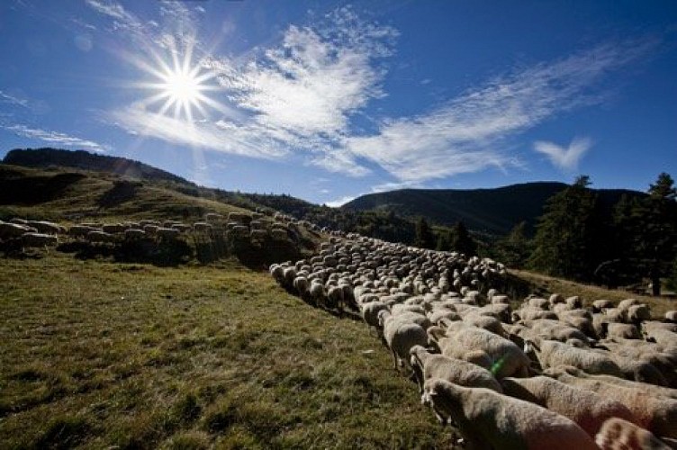 Col du Pison