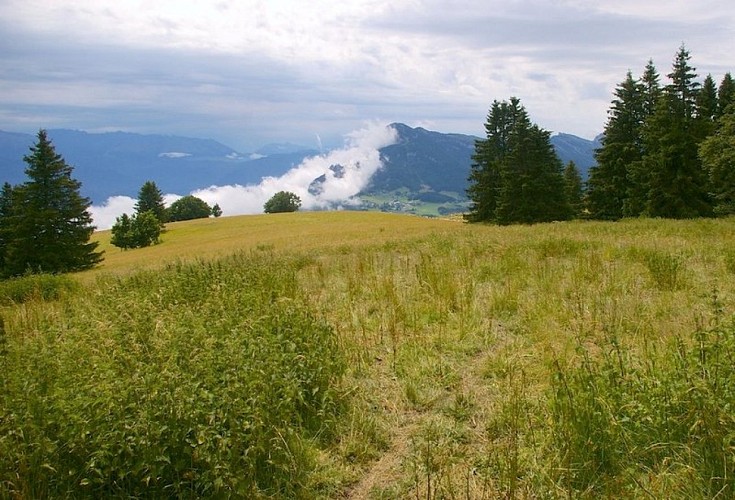 Vue sur l'alpage du Sornin