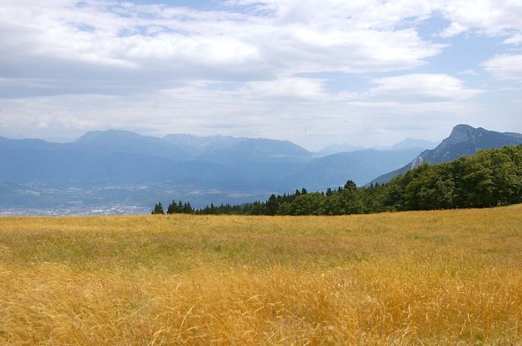 Vue à partir du plateau
