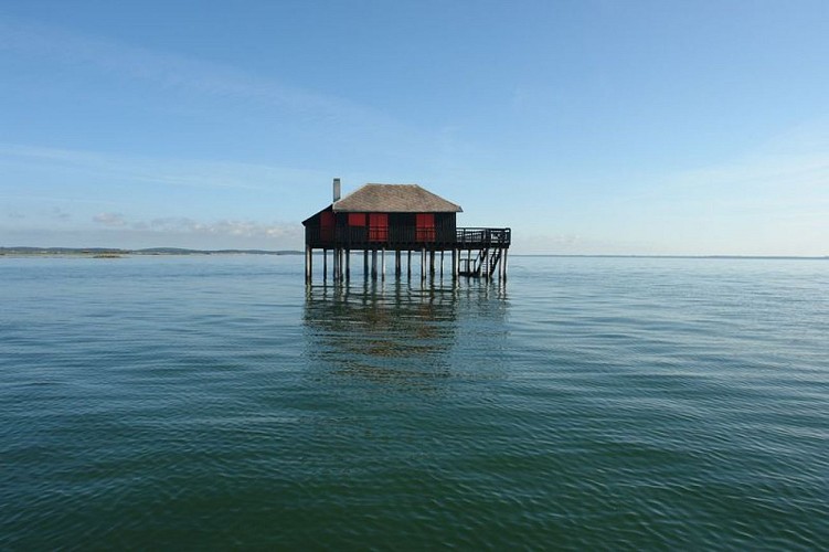 La littorale de l'Ile aux oiseaux aux Portes de l'océan