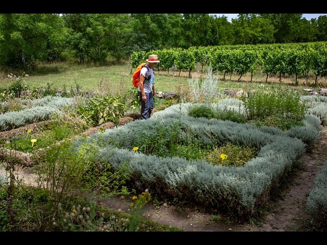 Jardin de la Commanderie de Sallebruneau