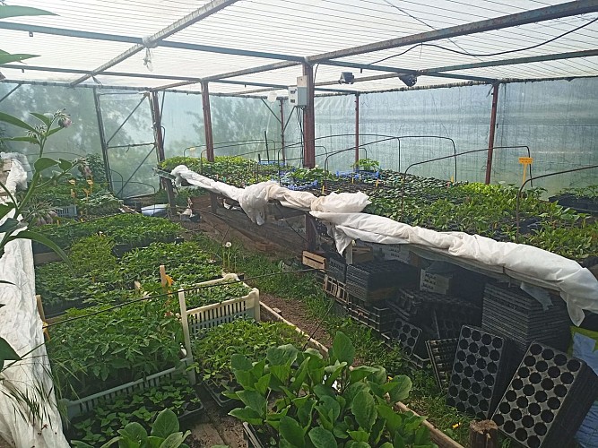 curmont passion serre