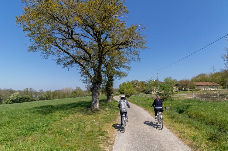 Dombes Vélos - Location de VTC électriques