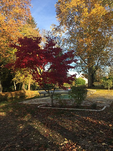 La piscine en automne