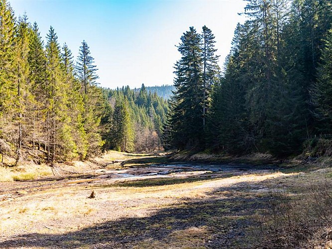 Tourbière de Belbriette Xonrupt