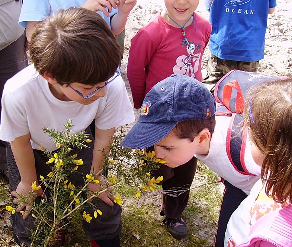 Les apprentis ornithologues