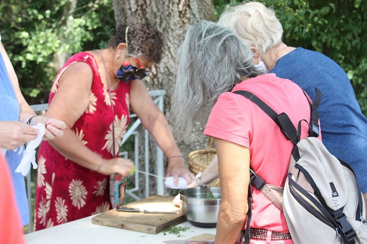 Animations - Les plantes dans tous les sens