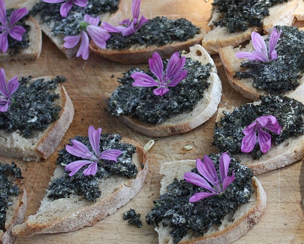 Ateliers - Les plantes dans tous les sens