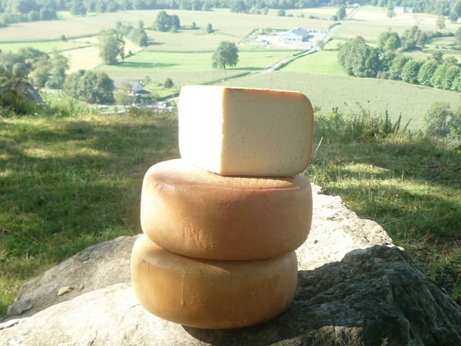 ferme-badie-photo-tommes-fromage