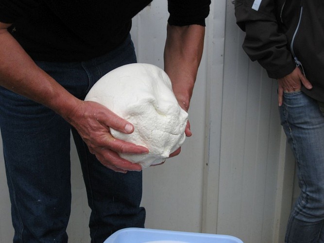 ferme-badie-photo-boule-fromage