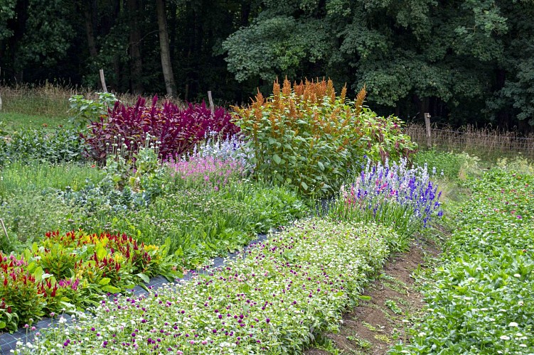 Le château de bourg esch - au château fleuri