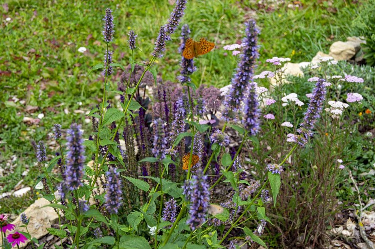 Le château de bourg esch - au château fleuri