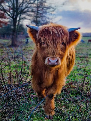 La Ferme Coussoulat1