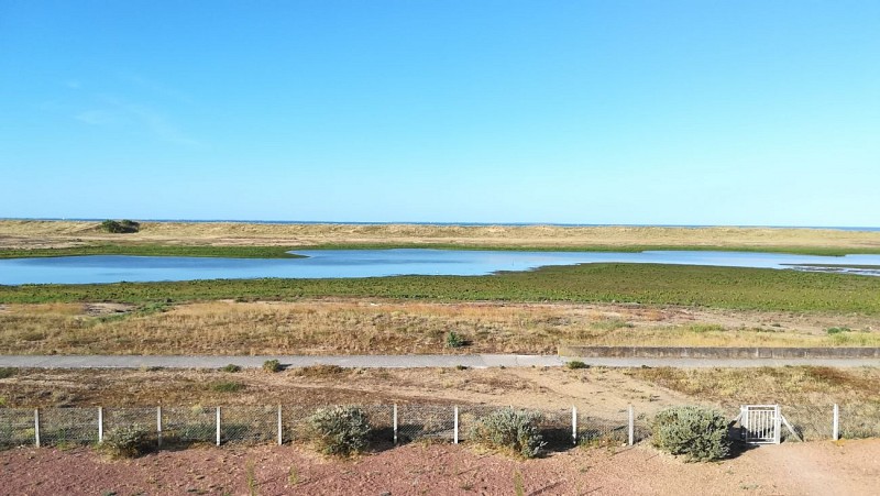 Meublé de l'agence de la Plage 16