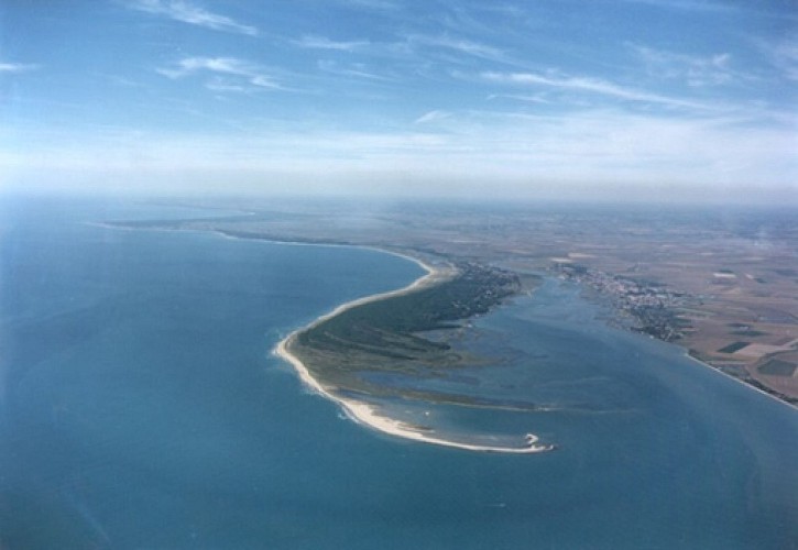 Meublé de l'agence de la Plage 16