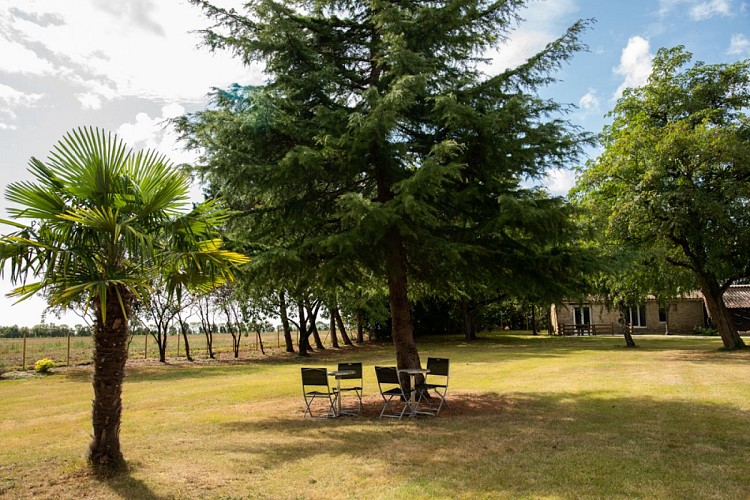 Gîte L'Ora des Marais Studio 1