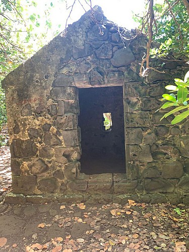 Image du poi