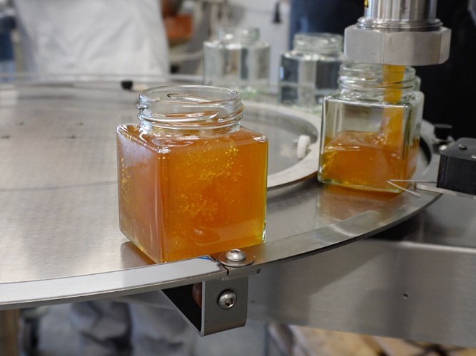 Format Sirtaqui 800*600pxl - format Sirtaqui photo