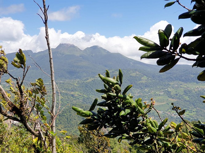 Trace des Monts Caraibes