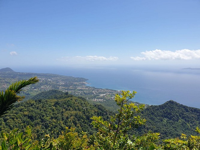 Trace des Monts Caraibes