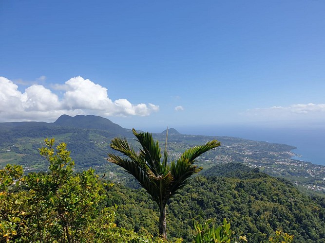 Trace des Monts Caraibes