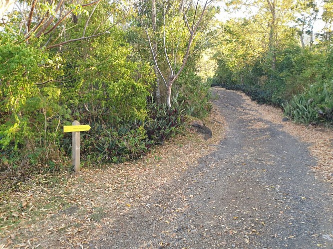 Trace des Monts Caraibes