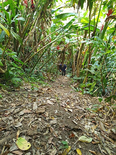 Trace des Monts Caraibes