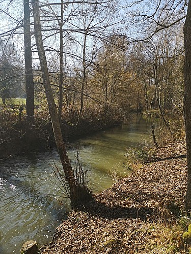 La rivière le Betz