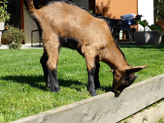 La Ferme des Moises