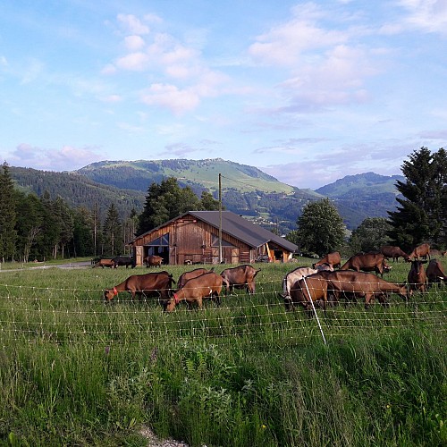 La Ferme des Moises