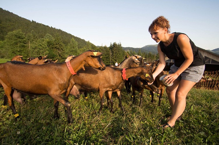 La Ferme des Moises