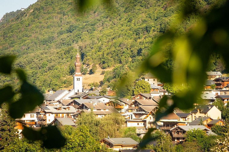 Saint-François-de-Sales church : free access